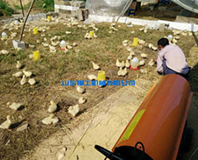 燃油养殖暖风机应用于育雏加温